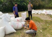 Sinergi Polri dan Bulog, Bhabinkamtibmas Polsek Enrekang Dampingi Proses Pembelian Jagung