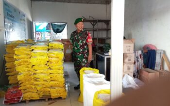 Babinsa Koramil 04/Watang Pulu Pantau Ketersediaan dan Stabilitas Harga Bahan Pokok di Pasar Lawawoi Sidrap
