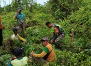 Babinsa Koramil 1417-13/Landono dan Warga Lalosingi Gelar Karya Bakti Bersihkan Lingkungan