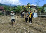 Kapolsek Alla Turun Langsung Tinjau Lahan Persiapan Penanaman Jagung Serentak