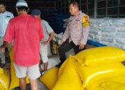 Bhabinkamtibmas Polsek Belopa Dampingi Warga Desa Libukang Jual Hasil Panen Jagung ke Bulog Palopo