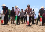 Dukung Swasembada Pangan Nasional, Kapolres Sinjai Pimpin Penanaman Jagung Serentak Kuartal IV.