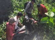 Lakalantas Tunggal, Polisi Bantu Evakuasi Korban Jatuh ke Jurang Jembatan Batui Banggai