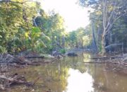 Konflik di Desa Torete, Bupati Morowali Diminta Tidak Tutup Mata