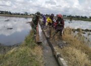 Babinsa Koramil 1420-05/Dua Pitue Pimpin Karya Bakti Pembersihan Saluran Irigasi di Desa Padangloang Alau