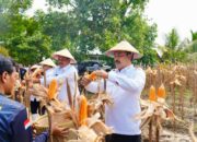 Setahun Kerja Nyata, Kemenimipas Catat Tinta Emas Ketahanan Pangan Nasional