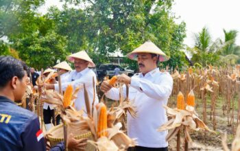 Setahun Kerja Nyata, Kemenimipas Catat Tinta Emas Ketahanan Pangan Nasional