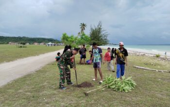 Babinsa Koramil 1413-08/Gu dan Warga Gelar Penanaman Pohon, Wujud Nyata Penghijauan di Daerah Pesisir
