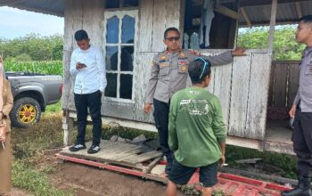 Kapolsek Maiwa Meninjau Perkembangan Tanaman Jagung Dalam Rangka Program Ketahanan Pangan
