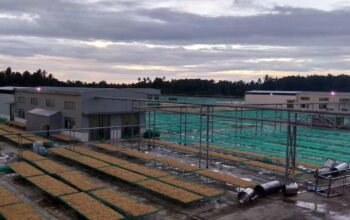 Dukung Peningkatan Ekonomi, PLN Setrum Industri Rumput Laut Sebesar 3.465 kVA di Pinrang