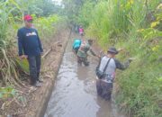 Babinsa Ramil 1420-04/Watang Pulu Pimpin Karya Bakti “Mabbaja Sepe” di Sidrap, Bersihkan Saluran Air Jelang Musim Tanam