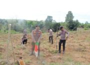 Kapolres Enrekang AKBP Hari Budiyanto Berdayakan Satgas Ketahanan Pangan Lewat Inovasi Penanaman Jagung Lahan Produktif