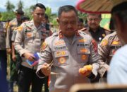 Sinergi Polda Sultra dan Pemda Konawe Gelar Panen Raya Jagung: Wujud Sinergi Dukung Asta Cita Presiden