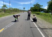 Polisi Selidiki Kecelakaan Maut Sebabkan Pemotor Asal Nambo Banggai, Tewas