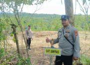 Sat Binmas Monitoring Lahan Penanaman Jagung untuk Optimalkan Program Ketahanan Pangan