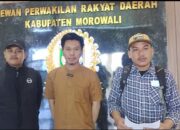 Disinyalir Lakukan Pelanggaran Lingkungan, Lima Perusahaan di Kawasan IMIP Disorot