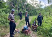 Respon Cepat Polres Sinjai, Gerebek Judi Sabung Ayam di Tellu limpoe : dua Pelaku dan Barang Bukti Diamankan.