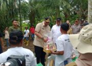 Gubernur dan Bupati Batubara Giat Bersama Gerakan Tanam Cabai Merah Kolaborasi Sumut Berkah