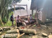 Pohon Tumbang di Tana Toraja, Bhabinkamtibmas Sigap Bantu