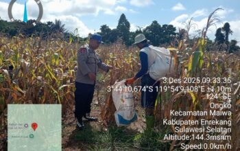 Polisi Penggerak bersama Kelompok tani Panen Jagung pada Lahan Percontohan di Wilayah Binaan sebagai Upaya Mendukung Program Ketahanan Pangan