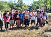 Kapolsek Alla Pimpin Penanaman Jagung di Lahan LBS Desa Pana