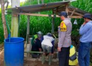 Bhabinkamtibmas Polsek Enrekang Mengikuti Pelatihan Manajemen Penggemukan Ternak Sapi Ketahanan Pangan Bumdes Sipatokkong