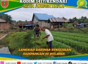 Babinsa Koramil 1417-09/Ranomeeto Pantau Ketahanan Pangan di Desa Wonua