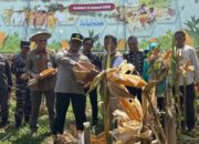 Polda Sultra Kembali Laksanakan Panen Raya Jagung Serentak Kuartal 1 Tahun 2026