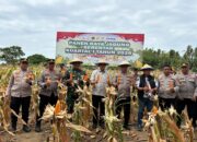 Zoom Meeting Panen Raya Jagung Kuartal I 2026, Kapolres Wajo Soroti Swasembada Pangan