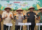 Perkuat Ketahanan Pangan Nasional, Polda Sulteng Laksanakan Panen Jagung Serentak Kuartal IV Tahun 2025