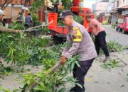 Bhabinkamtibmas Polsek KPN Bantu Bersihkan Dahan Pohon di Pinggir Jalan