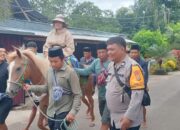 Bhabinkamtibmas di Tengah Masyarakat Adat, Kawal Ritual Towani di Bacukiki