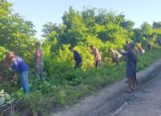 Wujud Kemanunggalan TNI–Rakyat, Koramil 1413-05/Kaledupa Laksanakan Karya Bakti Pemangkasan Semak-Semak