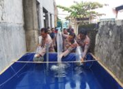 Pelopori Pemanfaatan Lahan Kosong, Polsek KPN Polres Parepare Kembangkan Budidaya Ikan Nila
