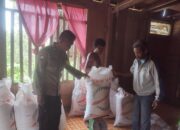 Bhabinkamtibmas Desa Waoleona Pantau Hasil Panen Jagung Milik Warga Binaan