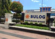 Polda Sulsel Hadir di Lahan Petani, Bulog Gandeng Polri Serap Jagung 306,85 Ton