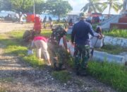Koramil 1413-12/Binongko Perkuat Kemanunggalan TNI–Rakyat melalui Kerja Bakti Bersama