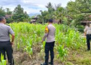 Kapolsek Alla, Kanit Binmas dan Polisi Penggerak Ketahanan Pangan Laksanakan Pemantauan Lahan LBS