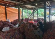 Dengan Cara Sambang Bhabinkamtibmas Polsek Enrekang Ciptakan Kamtibmas yang Kondusif