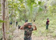 Hangatnya Kebersamaan, Canda Tawa Warnai Gotong Royong Satgas TMMD 127 di Sambuli