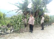 Kapolsek Anggeraja Tinjau Kebun Jagung, Wujud Nyata Dukung Asta Cita dan Ketahanan Pangan Nasional