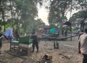 Usai Ramai di Beritakan, Polres Morowali Lakukan Penindakan Hukum Arena Judi Sabung Ayam