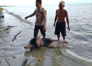 Gerak Cepat Polsek Kintom Evakuasi Mayat Mengapung di Pantai Dimpalon Baru