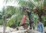 Tak Gentar Medan Licin, Satgas TMMD Terjang Lumpur Demi Jembatan Sambuli