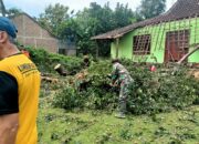 Angin Kencang Robohkan Pohon, Rumah Warga Kejayan Rusak — Respons Cepat Babinsa dan BPBD Cegah Dampak Lebih Besar