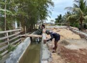 Sinergi Membangun Desa: Satgas TMMD 127 Kodim 1417/Kendari Garap Plesteran Pondasi Jembatan di Sambuli