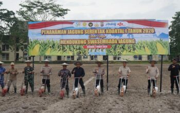Polda Sultra Laksanakan Penanaman Jagung Serentak Kuartal I 2026, Dukung Program Swasembada Pangan