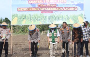 Kapolres Wajo Bersama Jajaran dan Masyarakat Gelar Penanaman Jagung Serentak Dukung Swasembada Pangan 2026