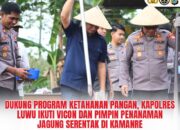 Dukung Program Ketahanan Pangan, Kapolres Luwu Ikuti Vicon dan Pimpin Penanaman Jagung Serentak di Kamanre