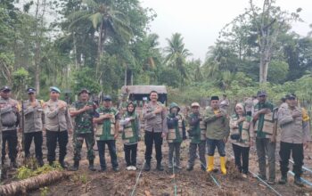 Dukung Program Ketahanan Pangan, Polres Banggai Tanam Jagung Serentak Kuartal I di Nambo